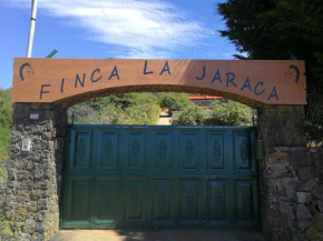 FINCA LA JARACA, Tacoronte